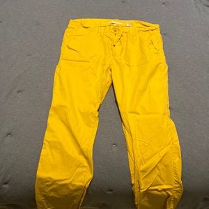 Yellow Dress Pants